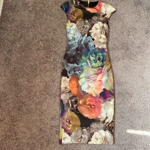 Ted Baker London Floral Technicolor Bloom Bodycon Mid-Size Dress Size 1(US 4)